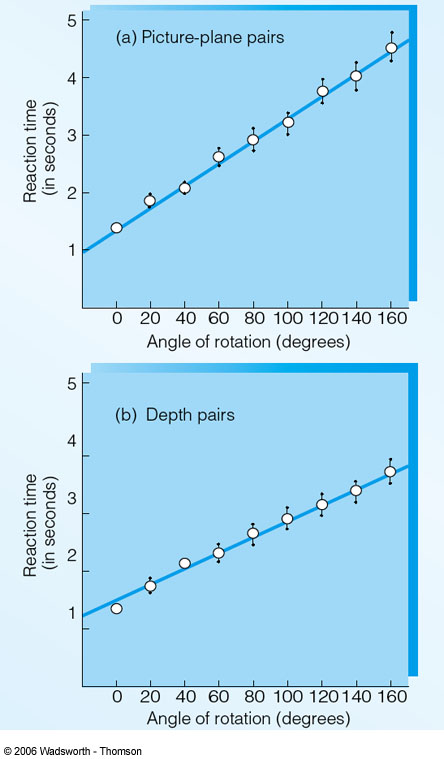 Shepard&MetzlerData
